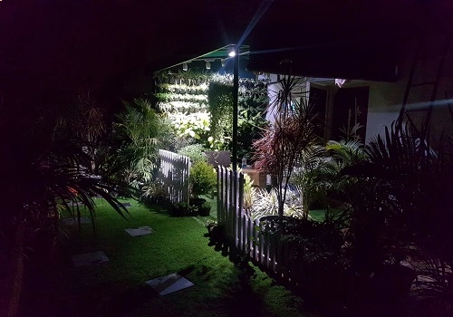 Lawns & Plantation Services in Gandhi Nagar