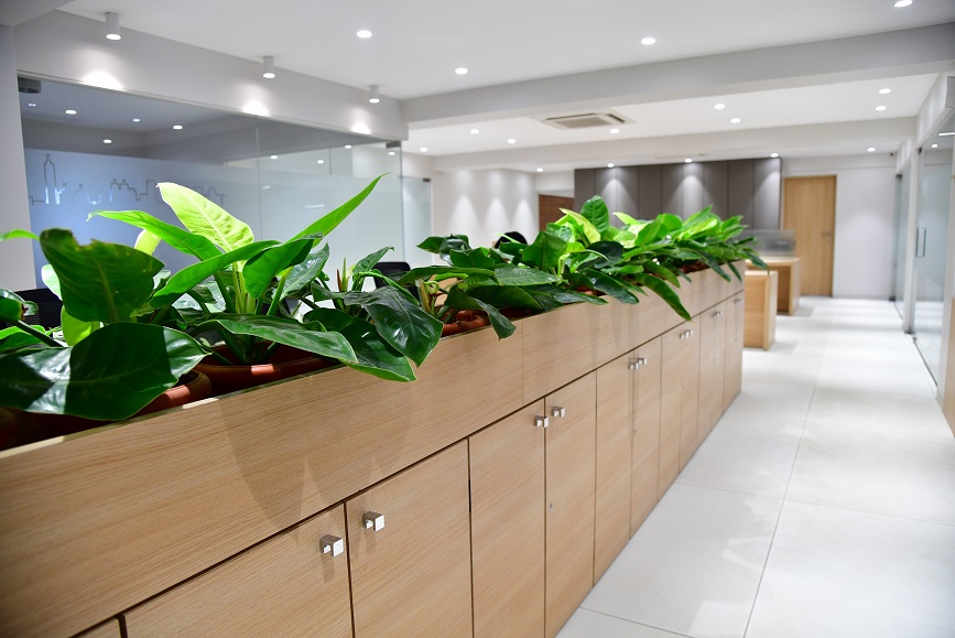 Garden Maintenance Services in Ahmedabad