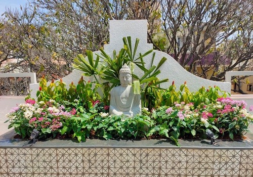 Lawns & Plantation Services in Gandhi Nagar