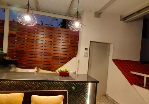 Lawns & Plantation Services in Gandhi Nagar