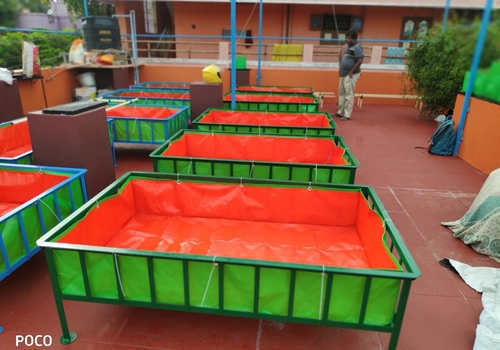 Lawns & Plantation Services in Gandhi Nagar