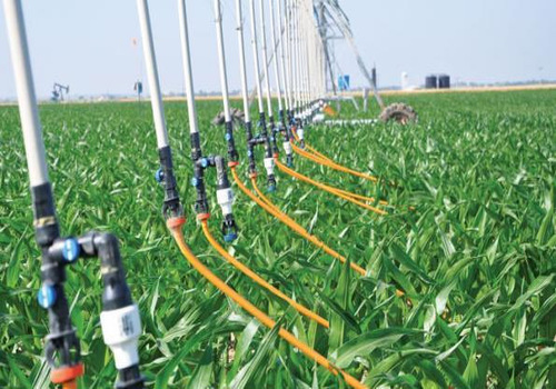 Lawns & Plantation Services in Gandhi Nagar