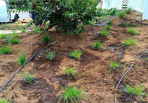 Lawns & Plantation Services in Gandhi Nagar