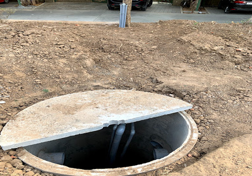 Lawns & Plantation Services in Gandhi Nagar