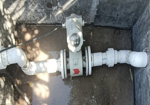 Lawns & Plantation Services in Gandhi Nagar