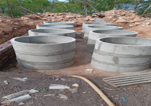 Lawns & Plantation Services in Gandhi Nagar