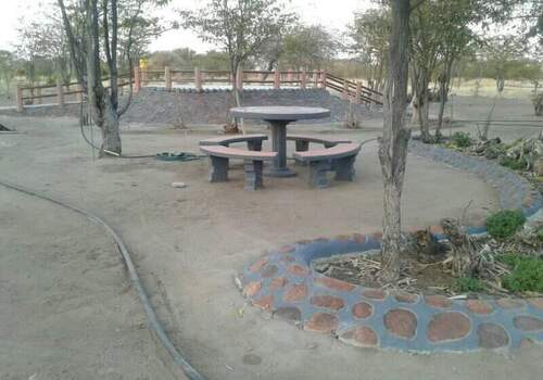 Lawns & Plantation Services in Gandhi Nagar