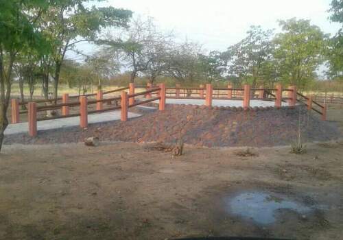 Lawns & Plantation Services in Gandhi Nagar