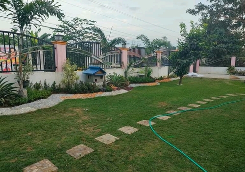 Lawns & Plantation Services in Gandhi Nagar