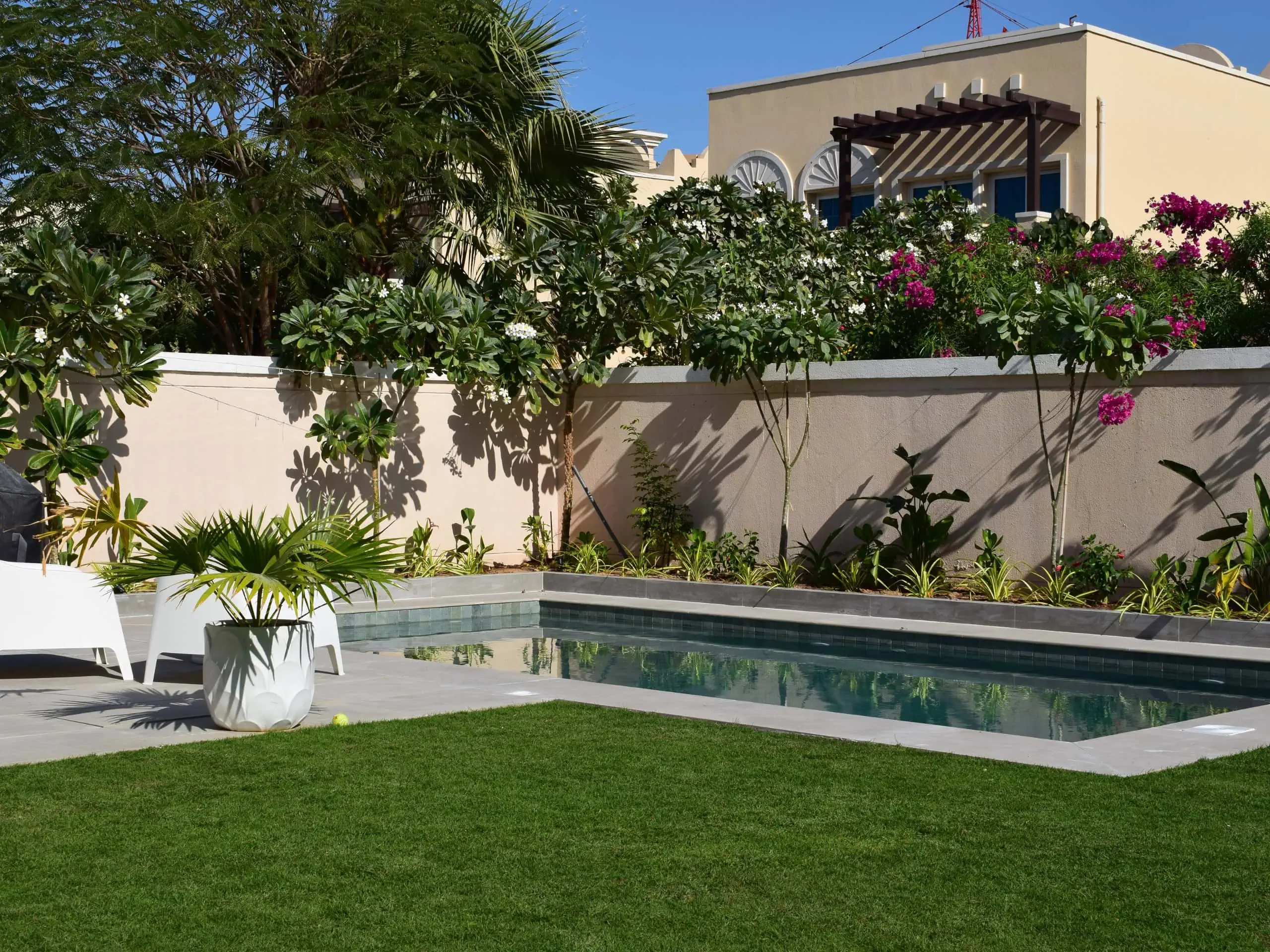 Lawns & Plantation Services in Gandhi Nagar