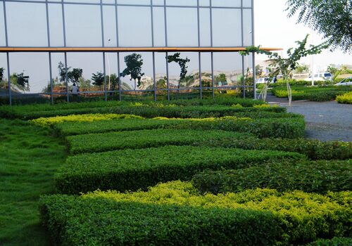 Lawns & Plantation Services in Gandhi Nagar