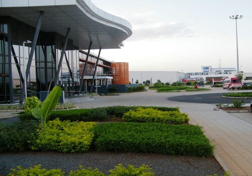 Lawns & Plantation Services in Gandhi Nagar