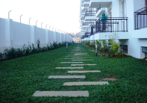 Lawns & Plantation Services in Gandhi Nagar