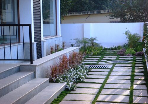 Lawns & Plantation Services in Gandhi Nagar