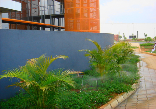 Lawns & Plantation Services in Gandhi Nagar