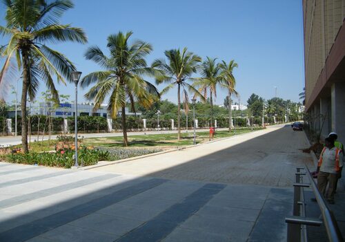 Lawns & Plantation Services in Gandhi Nagar