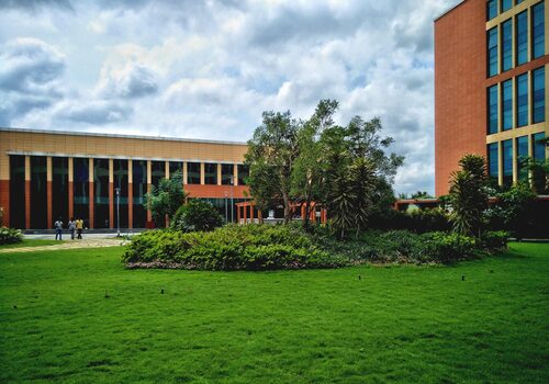 Lawns & Plantation Services in Gandhi Nagar