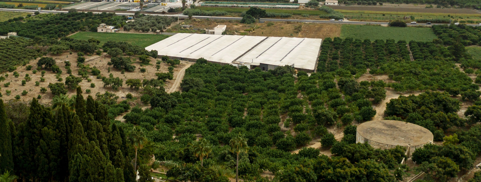 Top Landscape & Garden Contractors in Gujarat | Green Alfa