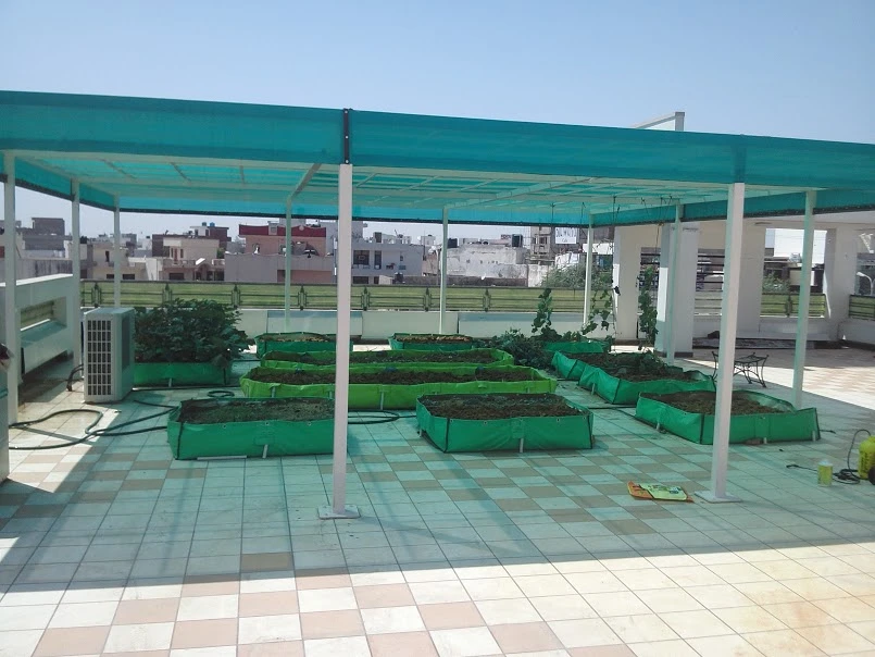 Organic Farming in Surat