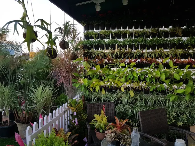 Vertical Gardens in Surat