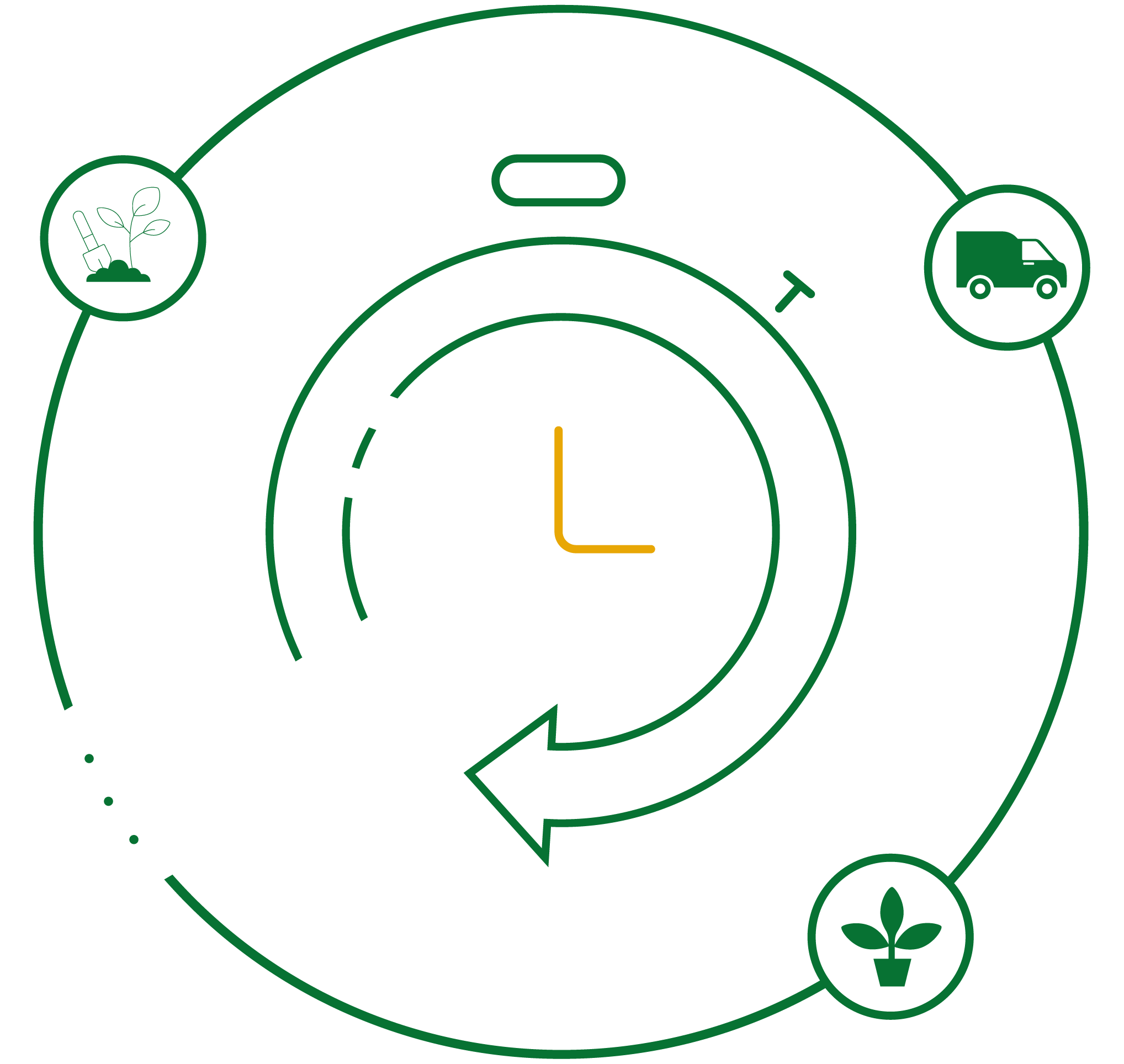 Consider taking Green Roof & Green Wall Services in Gurgaon